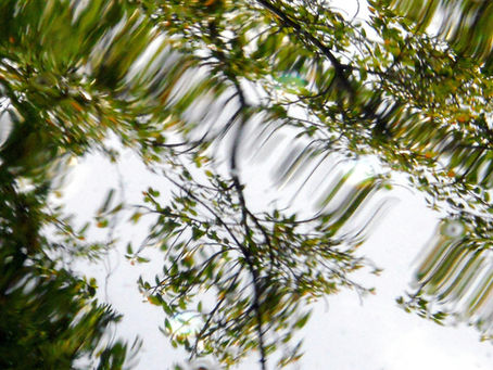 Testimonies — The 4th Source of Healthy & Fruitful Mind Renewal