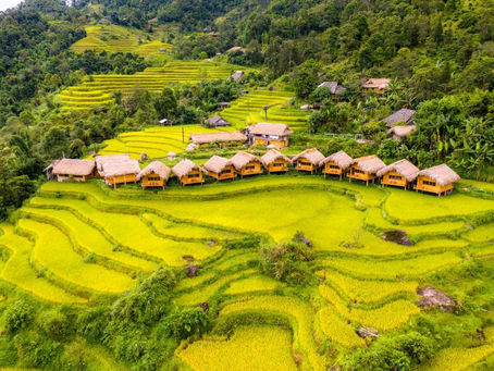 Gợi ý kinh nghiệm du lịch Hoàng Su Phì - Hà Giang tự túc từ A đến Z