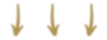 Untitled design (2).png