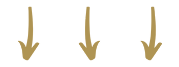 Untitled design (2).png