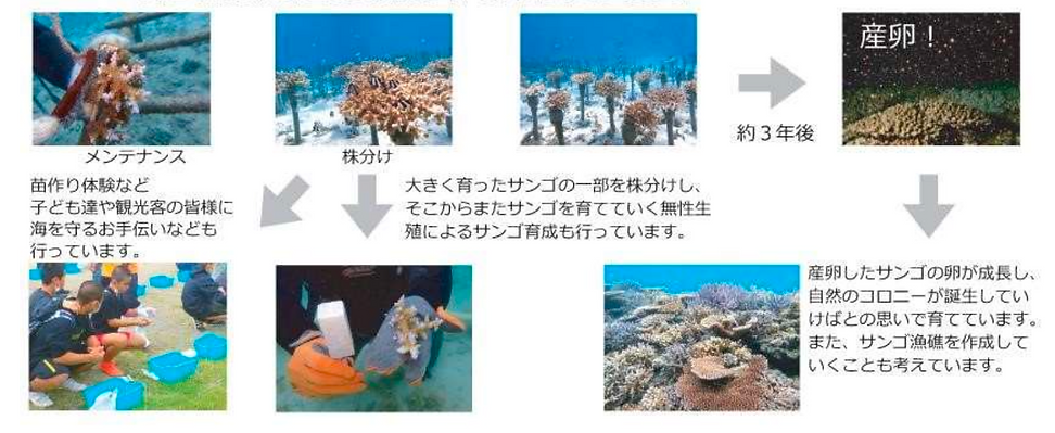 スクリーンショット 2024-03-05 7.38.06.png