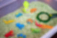 Insect-Sensory-Bin