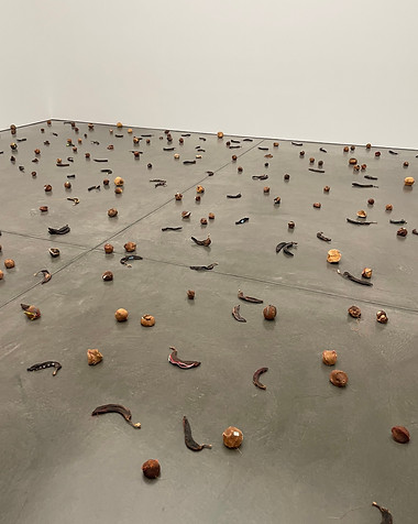 Photograph of Zoe Leonard's Strange Fruit exhibit at the Philidelphia Museum of Art. Dozens of strange, sewn together, and rotted fruit dot the concrete floor. White walls in the background.