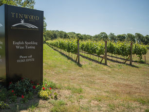 Image of Tinwood Vineyard with their sign in front of rows of vines