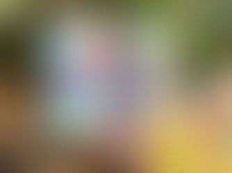 Family Firms Trade Leading Soft Drinks Brand