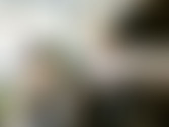 10 Strategies Family Firms Can Use To Be More Effective