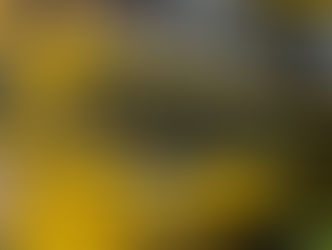 JCB Announces Plans For New North American Plant