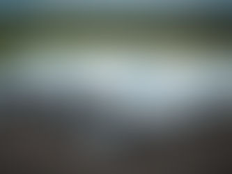 Three new vehicles in the Holdsworth Foods fleet