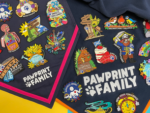 It's Adventure For All At Pawprint!