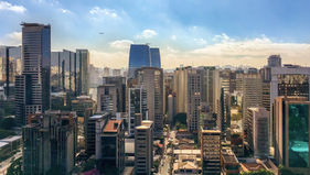 Quais as certificações necessárias para ser um Consultor CVM?