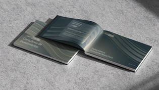 Número de consultores registrados em 2025 já ultrapassou todo o ano de 2024