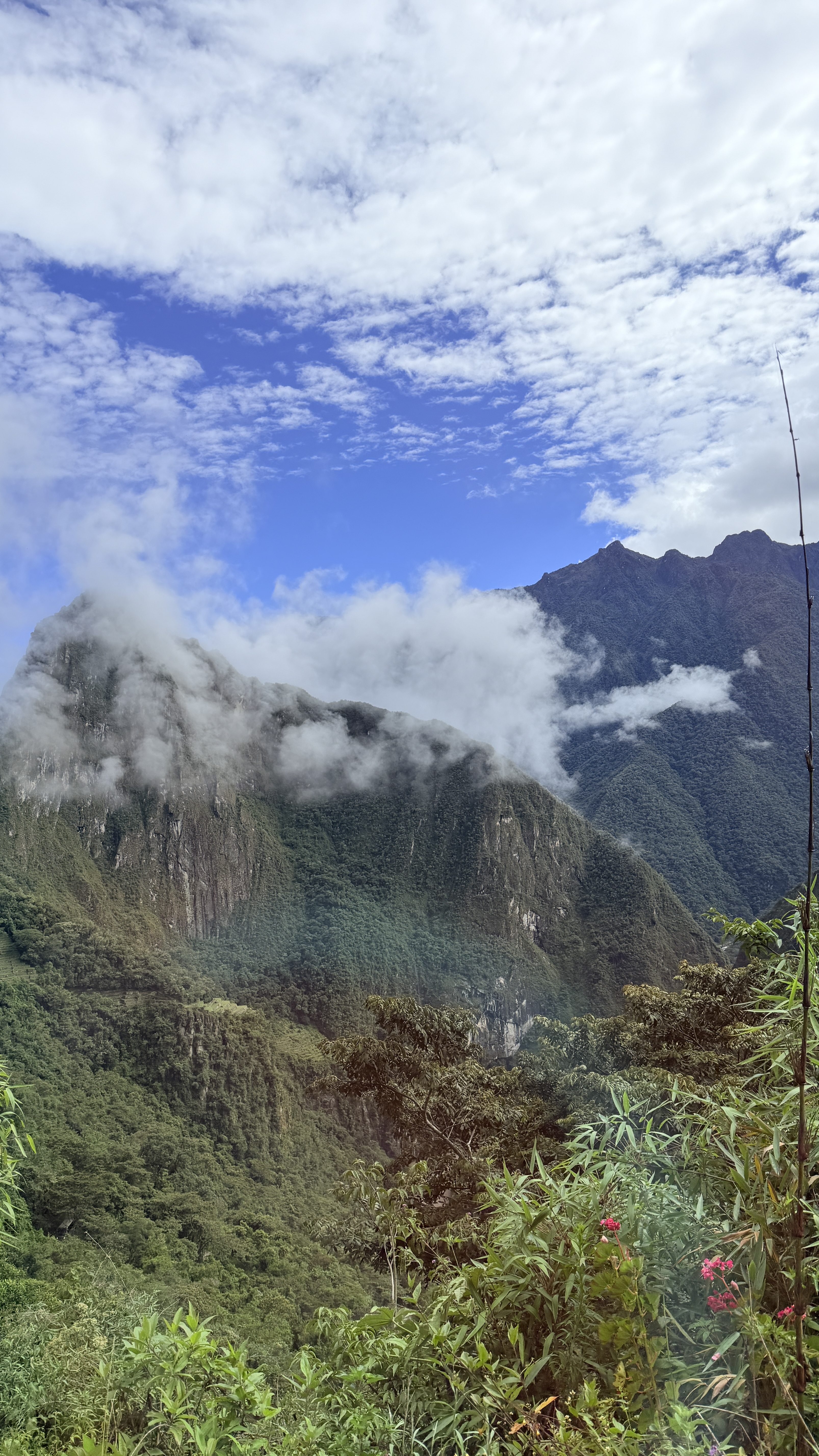 Peru & Brazil · moment 10