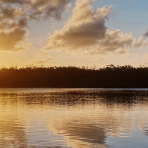 The Water Poem, a New Song by Ram Dass & Awaré