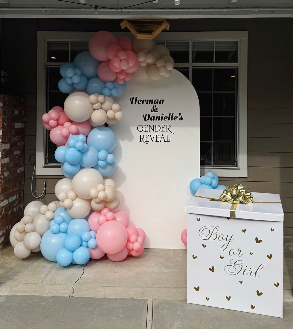 Gender balloon box bay area