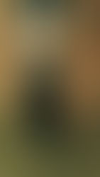 Safeguarding Soil: Unraveling the Impact of Erosion Control Regulations