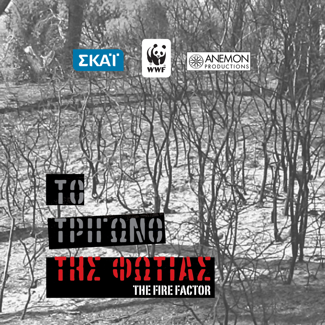 The Fire Factor