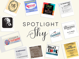 Spotlight Shy Businesses