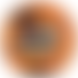 Organization Spotlight: Sumner County Fair 