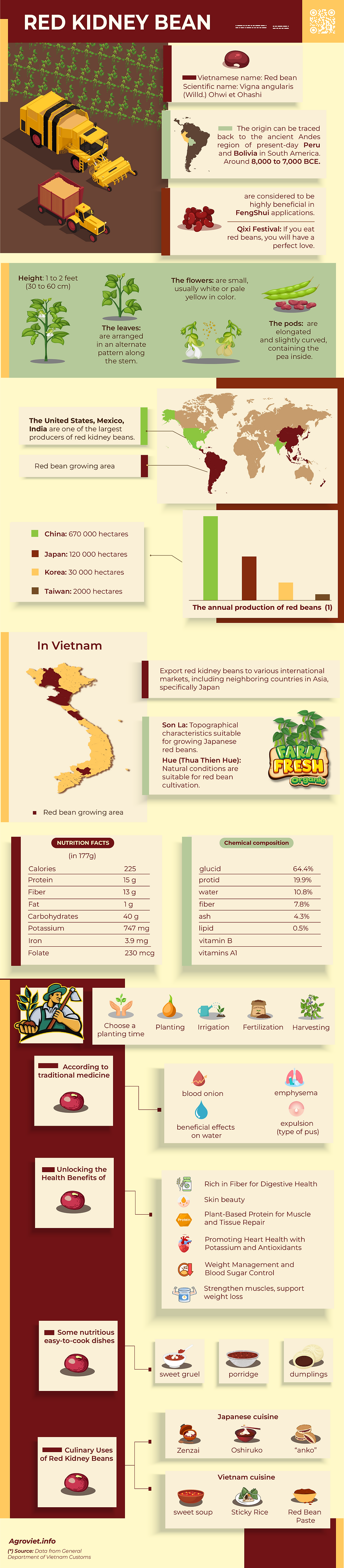 Infographic: From Fields to Flavors - Red Kidney Beans in Vietnam.