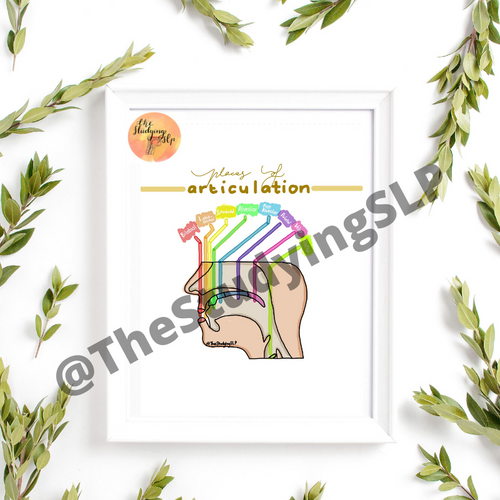 Places of Articulation Graphic | The Studying SLP