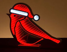 Infinite xmas cardinal.JPG