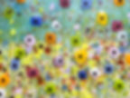 Spring contemporary art