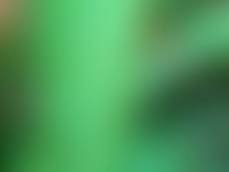 Community Apothecary Tea At The Birdhouse