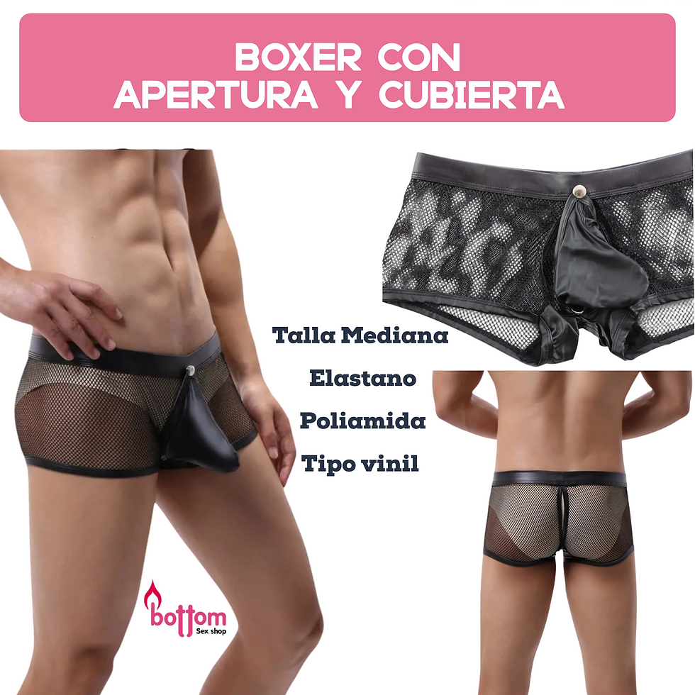 Boxer