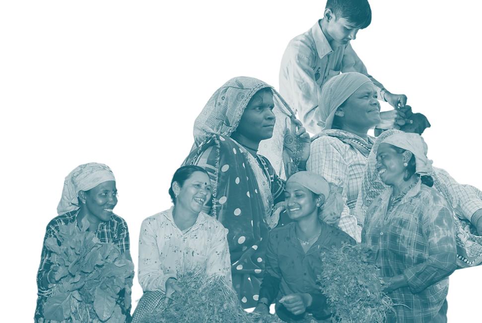 Selco creatives for website (2).png