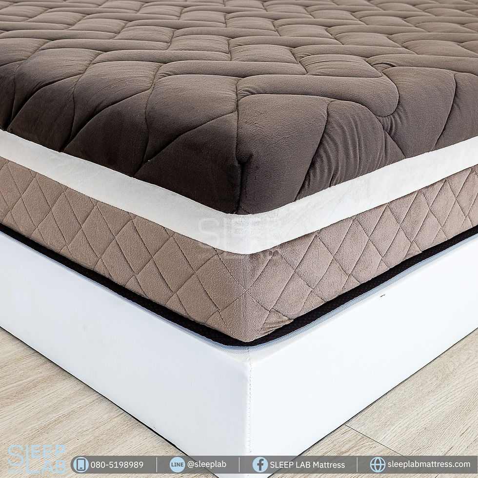 ภาพขนาดย่อ: ที่นอน Sleep Lab รุ่น SL-465