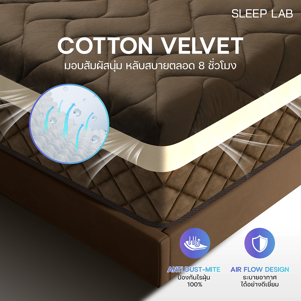 ภาพขนาดย่อ: ที่นอน Sleep Lab รุ่น SL-465