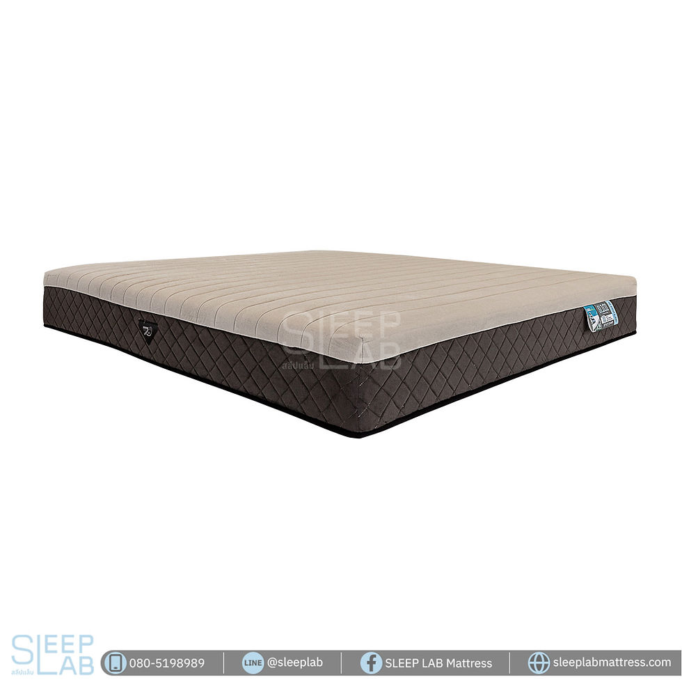 ภาพขนาดย่อ: ที่นอน Sleep Lab รุ่น SL-101