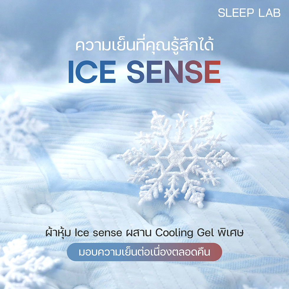 ภาพขนาดย่อ: ที่นอน Sleep Lab รุ่น SL-639