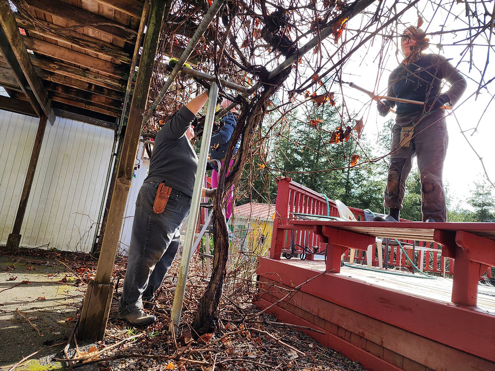 Sahale Care Weekends