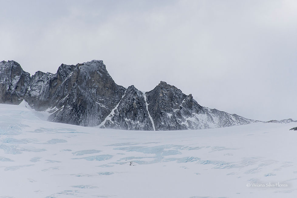 Proyecto Cordillera II-13.jpg