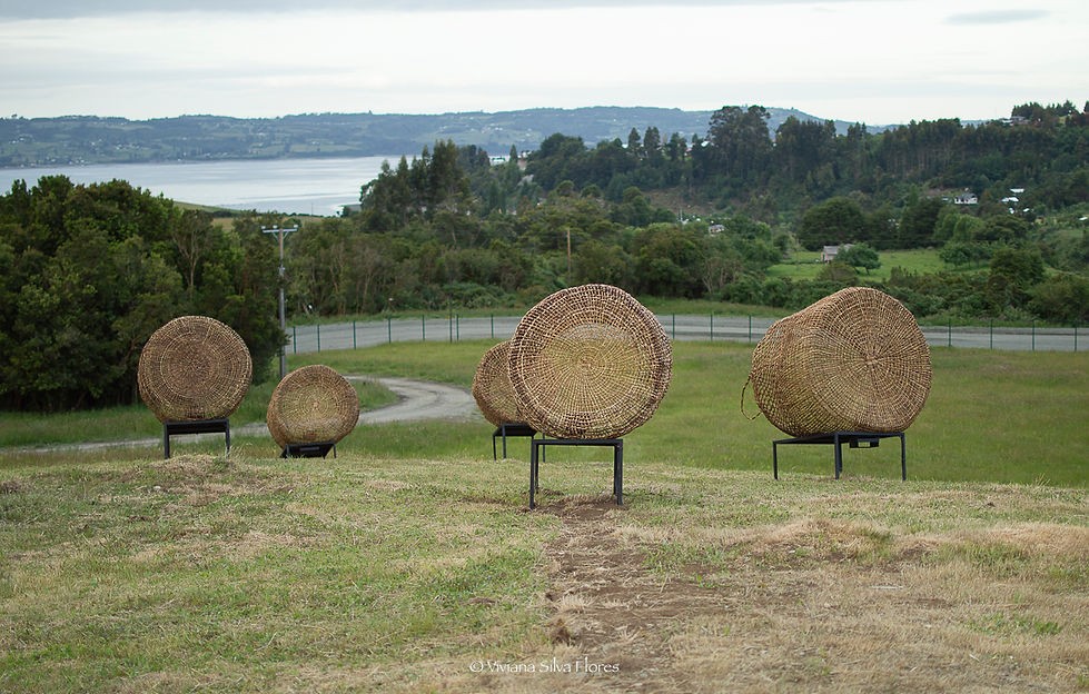 Pescando In...Obra VSF-8.jpg