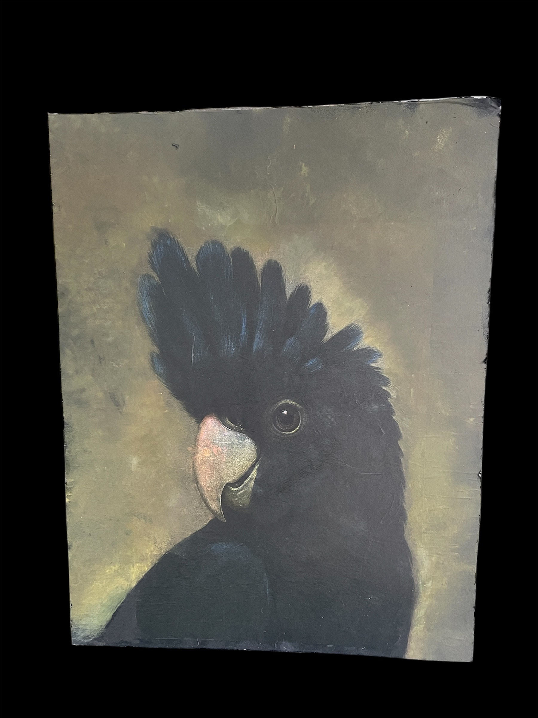 MIXED MEDIA PAINTING OF BLACK COCKATOO