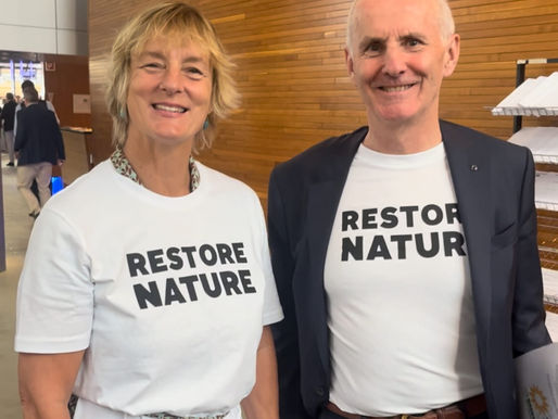 Irish MEPs Impact Key Vote on Nature Restoration Law in Europe