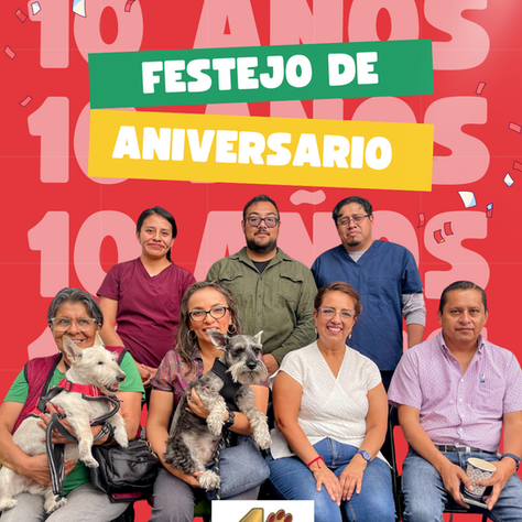 🎉 10 años de Xolly Yolkatlan: una década cuidando con el corazón 🐾