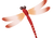 とんぼ.png