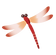 とんぼ.png