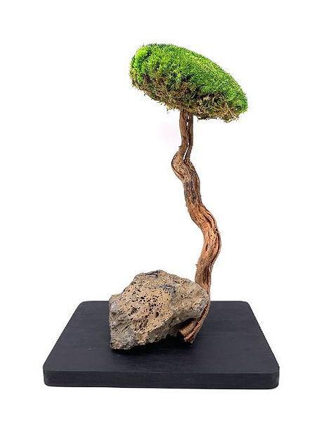 Atelier Contour Jardin 1 - Un Noël japonais 2025.jpg