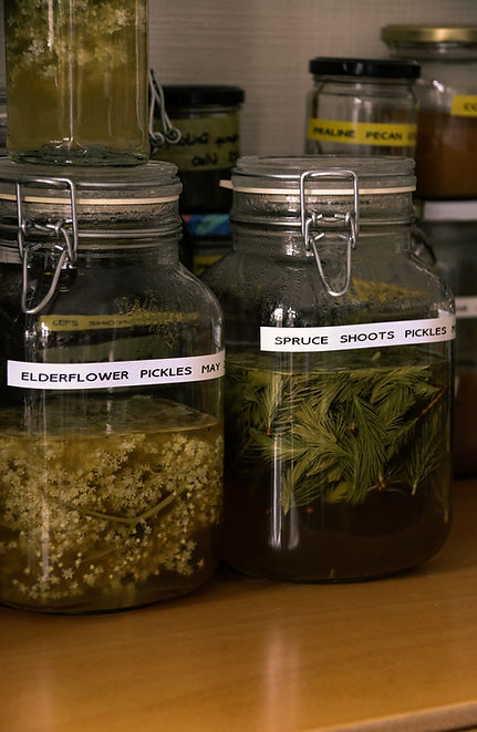 Pickles / Spring edition