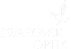 Svarowski.png