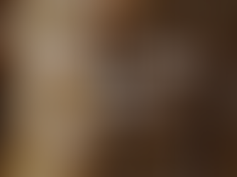 Sting of the Yellow Jackets