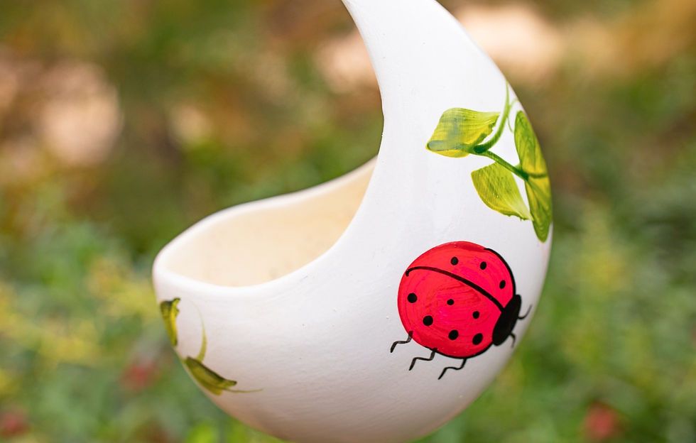 Thumbnail: Kiva - Ladybug Short