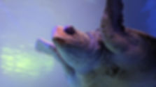 PXL_20231228_164929158.jpg