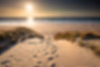 path-between-dunes-to-sea-beach-2026-01-07-06-13-14-utc.jpg