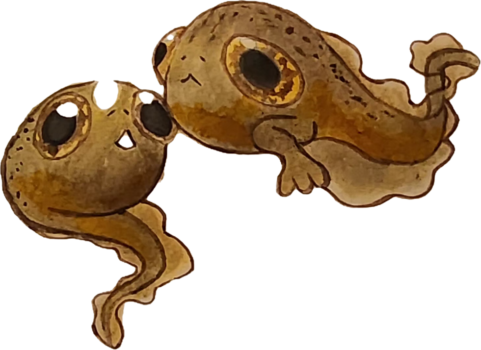 ree