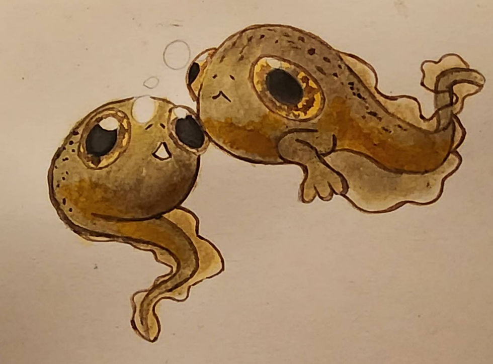 ree